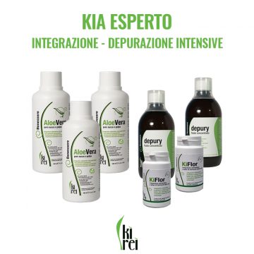 KIA ESPERTO – Intégration – PURIFICATION INTENSIVE